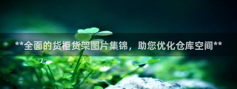 杏运体育官方网址