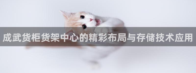 杏运登录：成武货柜货架中心的精彩布局与存