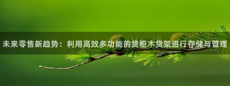 杏运注册账号：未来零售新趋势：利用高效多